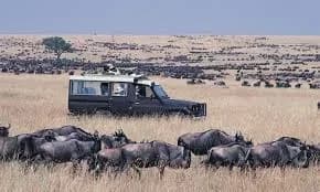 3 Days 2 Nights — Maasai Mara gallery 2