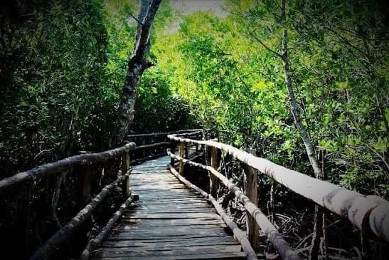 Mida Creek