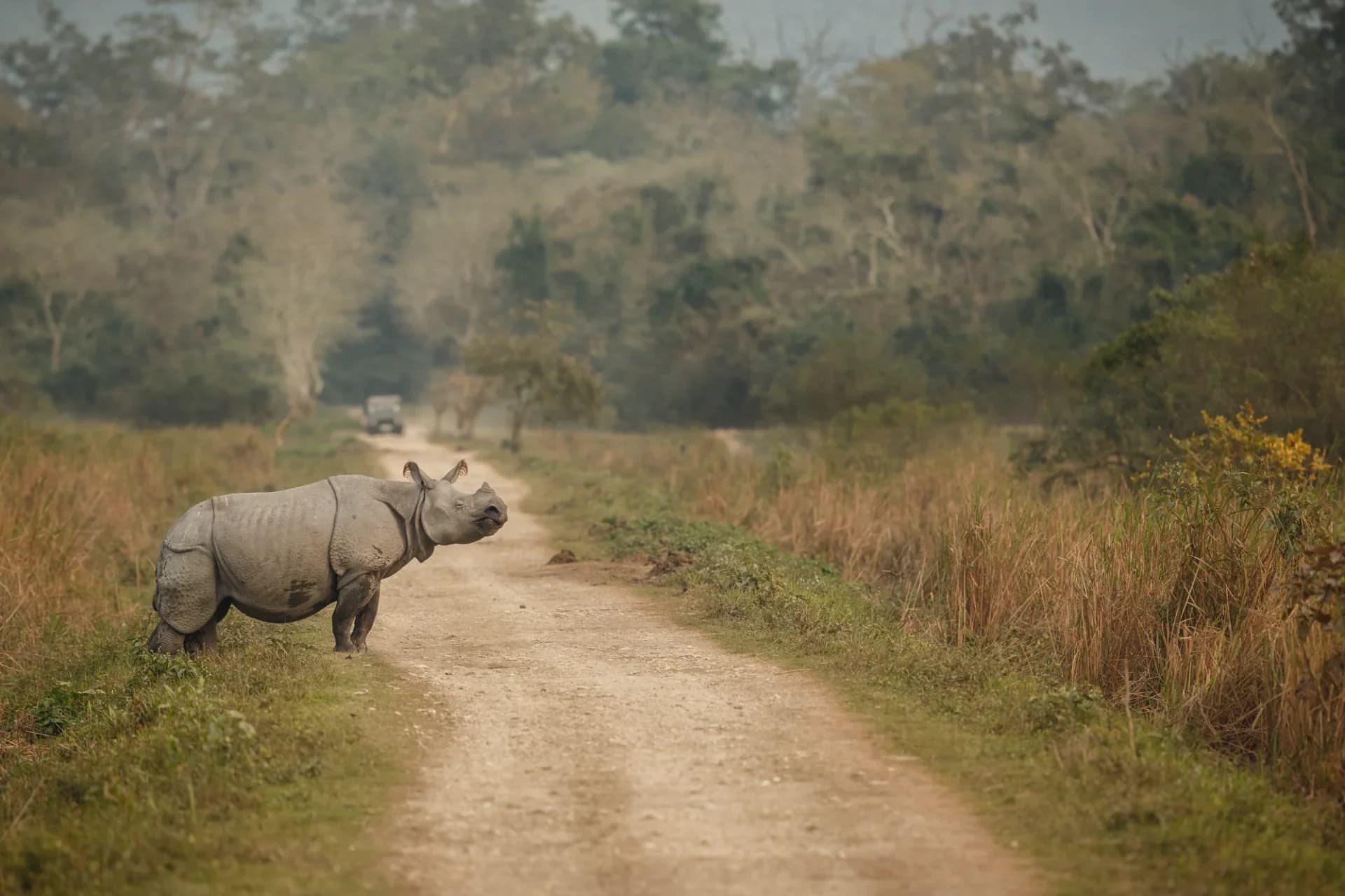 Rhino Sanctuary