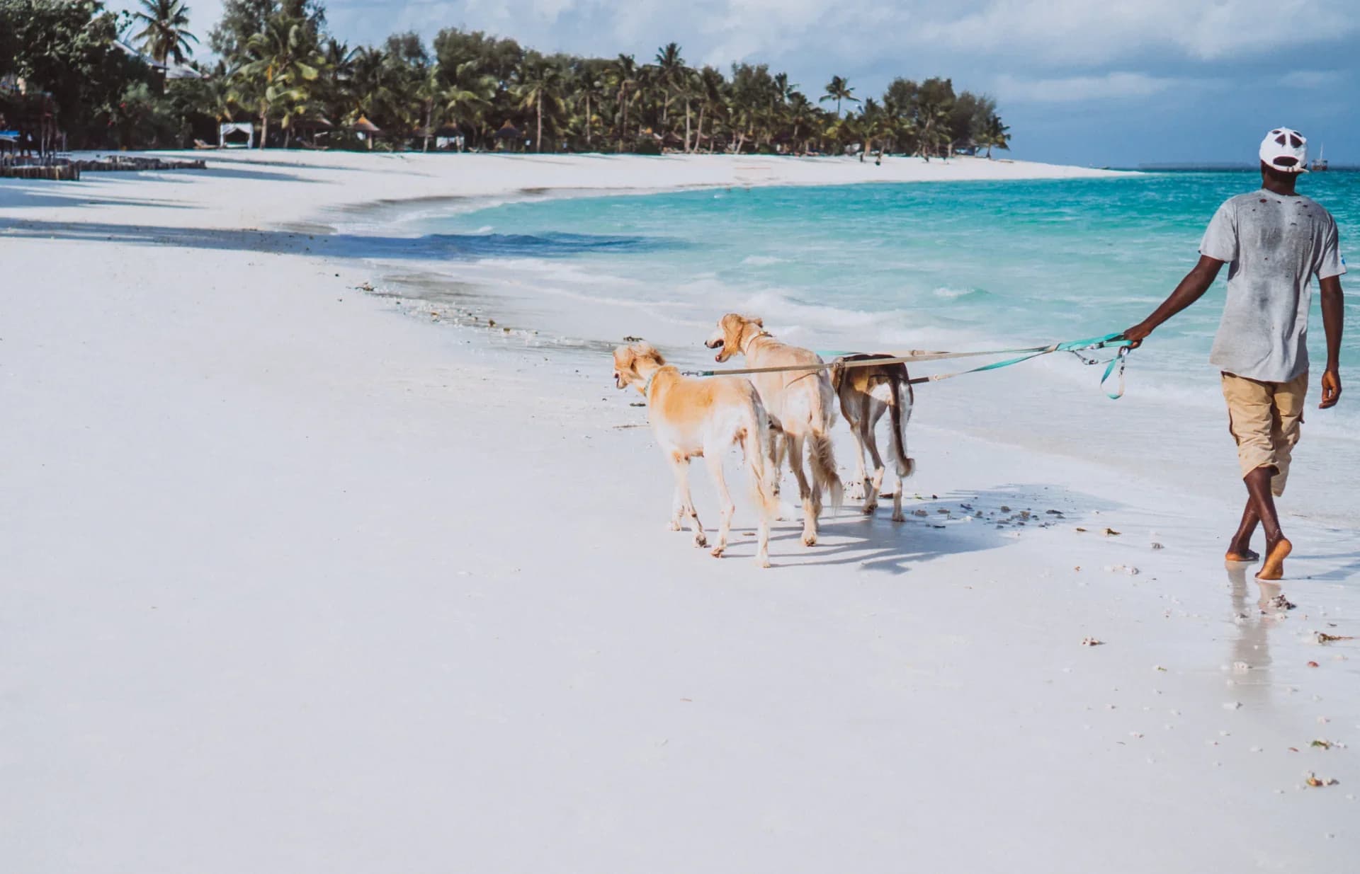 Malindi & Watamu Beach Holiday Package Cover